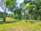 Land for Sale in Panamura Rd ,embilipitiya