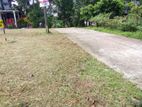 Land for Sale in Panapitiya