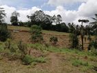Land for Sale in Panideniya