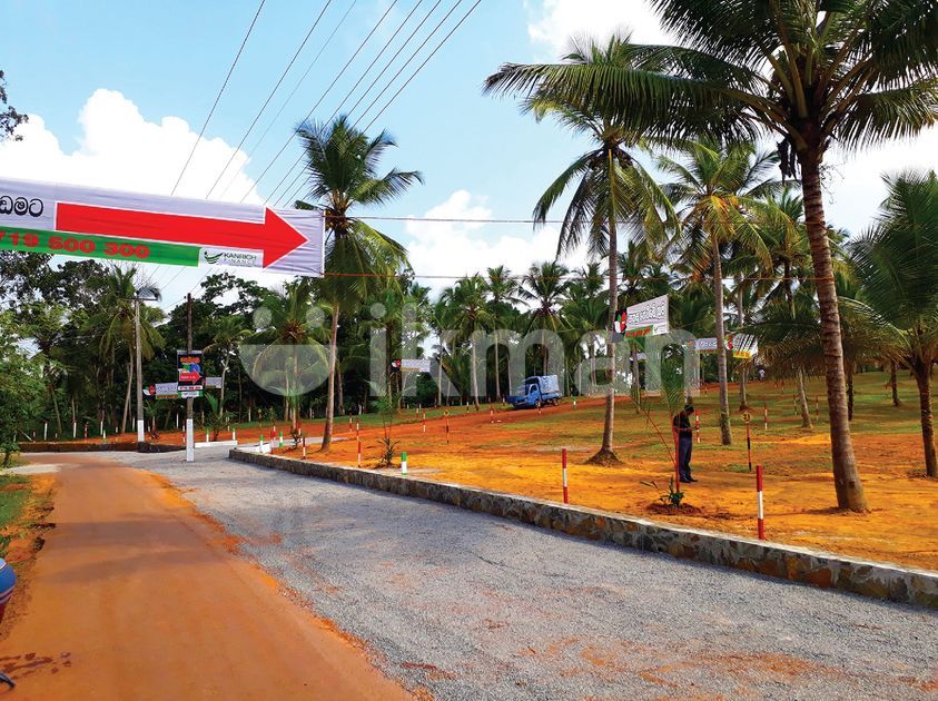 Land for Sale in Pannala ikman