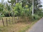 Land for Sale in Pannala