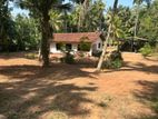 Land for Sale in Pannala