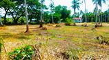 Land for Sale in Pannala