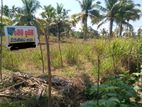 Land For Sale in Pannala, Sandalankawa (SSPL-341)