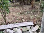 Land for Sale in Pannipitiya 9P