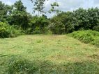Land for sale in Pannipitiya