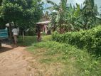 Land for Sale in Pannipitiya