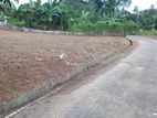 Land for Sale in Pannipitiya