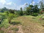 Land for Sale in Pannipitiya