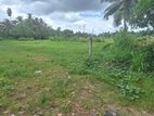 Land for Sale in Pannipitiya