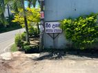 Land for Sale in Pannipitiya