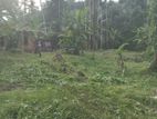 Land for Sale in Pannipitiya