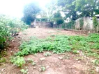 Land for Sale in Pannipitiya