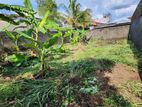 Land for Sale in Pannipitiya