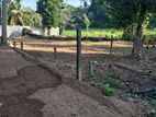 Land For Sale In Pannipitiya