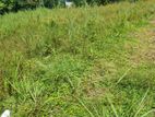 Land for Sale in Pannipitiya