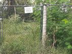 Land for Sale in Pannipitiya