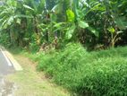 Land for Sale in Pannipitiya