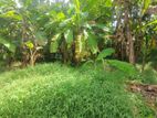 Land for Sale in Pannipitiya