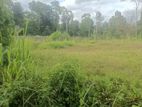 Land for Sale in Pannipitiya