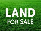 LAND FOR SALE IN PANNIPITIYA-HS-338