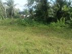 Land for Sale in Pannipitiya-Mahalwarawa