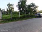 Land for Sale in Pannipitiya Morakatiya