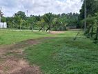 Land for Sale in Pannipitiya, Palanwatta