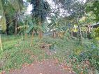 Land For Sale in Pannipitiya (SSPL-164)