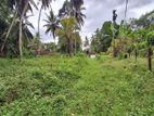 Land for Sale in Paraduwa