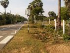 Land For Sale in Pasikuda (SSPL-249)