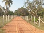 Land for Sale in Passikudah