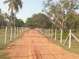 Land for Sale in Passikudah