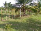 Land for Sale in Passikudah