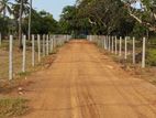 Land for Sale in Passikudah