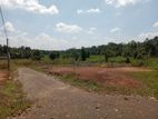 Land for Sale in Pasyala
