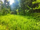 Land For Sale In Pasyala