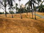 Land for Sale in Pasyala