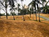 Land for Sale in Pasyala