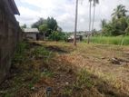 Land For Sale In Pasyala