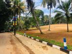 Land for Sale in Pasyala