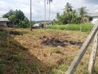 Land For Sale In Pasyala...