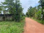 Land for Sale in Pasyala