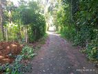 Land for Sale in Pasyala