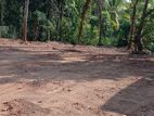 Land For Sale In Pasyala