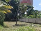 Land for Sale in Pasyala