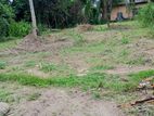 Land for Sale in Pasyala