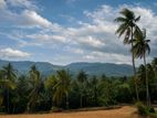 Land for Sale in Pasyala