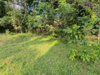 Land for sale in pasyala / HS 15464