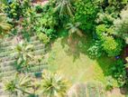 Land for sale in Pasyala / HS 15464